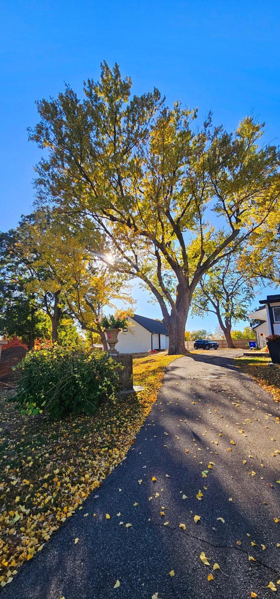 1908 Modern Farmhouse On Large Private Treed Lot Shawnee Extérieur photo